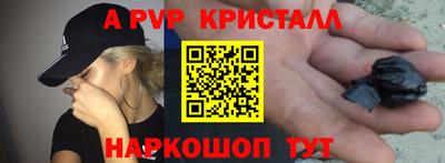 стафф Кандалакша