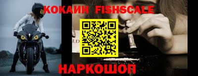 spice Камышлов