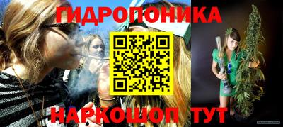 стафф Кандалакша