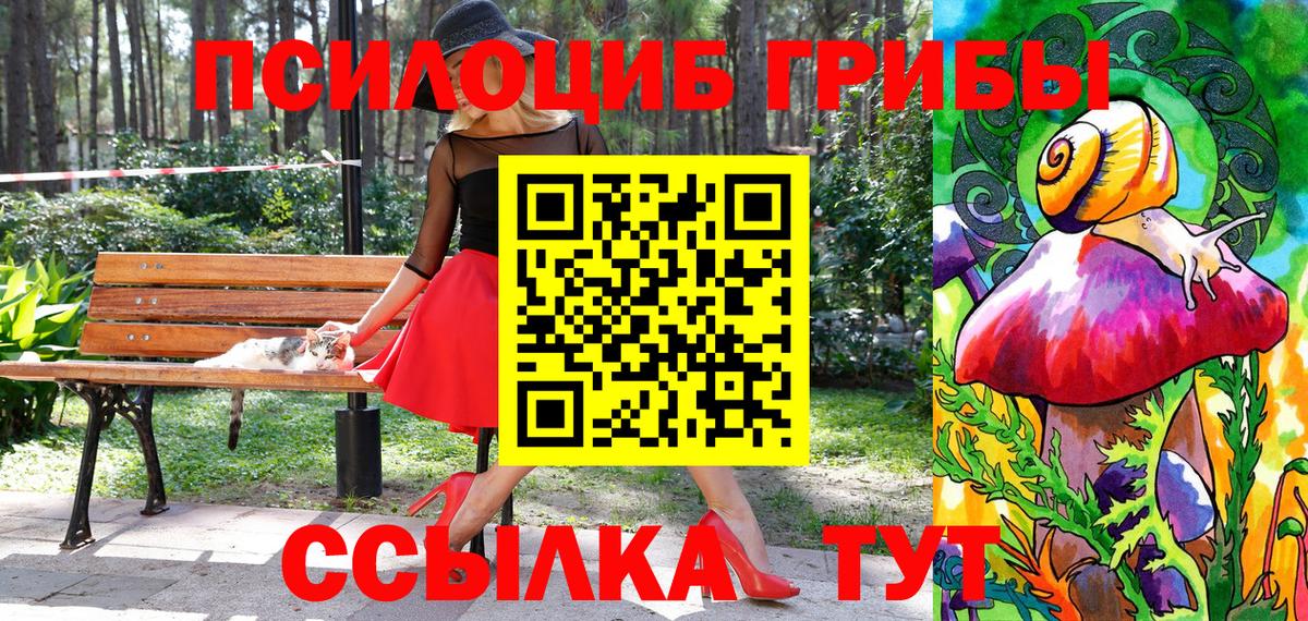 Псилоцибиновые грибы Psilocybine cubensis  Вход с VPN  цены наркотик  Кумертау 