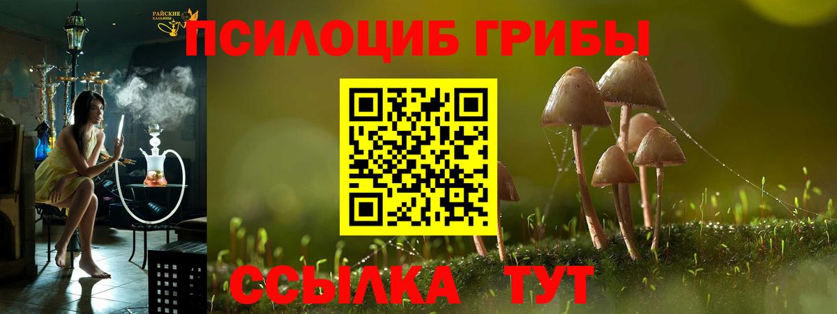 Галлюциногенные грибы MAGIC MUSHROOMS Кумертау