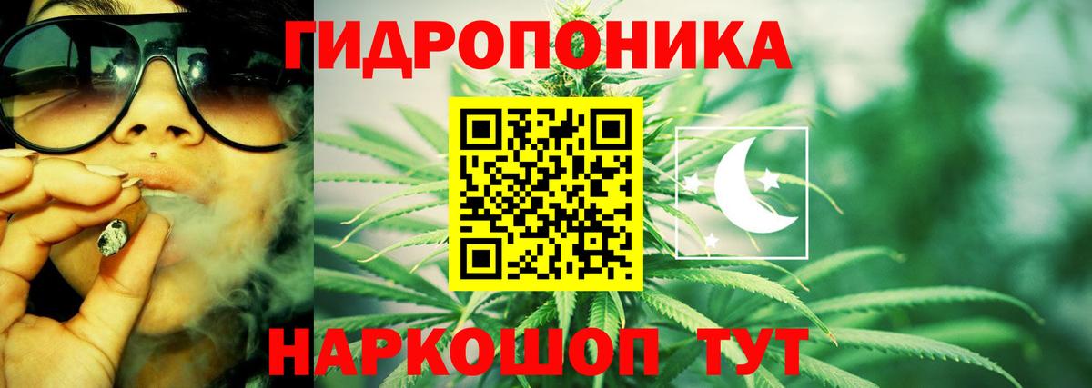 Каннабис OG Kush  Каннабис White Widow  Кумертау  Каннабис семена  Вход с VPN  Бошки марихуана Ganja 